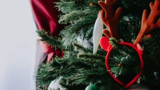 Decorated Christmas tree in room